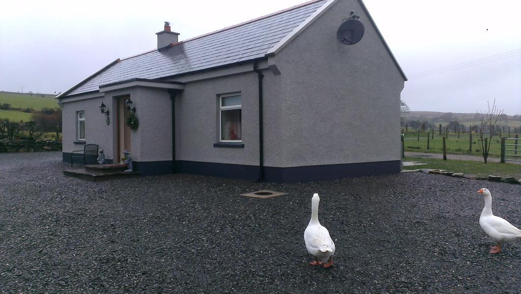 Greencastle Pat Larry'S Cottage חדר תמונה